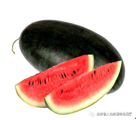 黑吃 91黑科网吃瓜在线,揭秘91黑科网吃瓜在线背后的真相